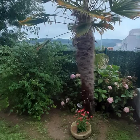 El Gallo Azul Holiday home Oruna