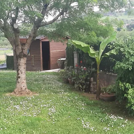 El Gallo Azul Holiday home Oruna