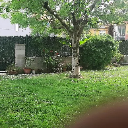 El Gallo Azul * Oruna