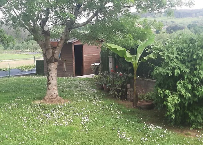 El Gallo Azul Nyaraló Oruña