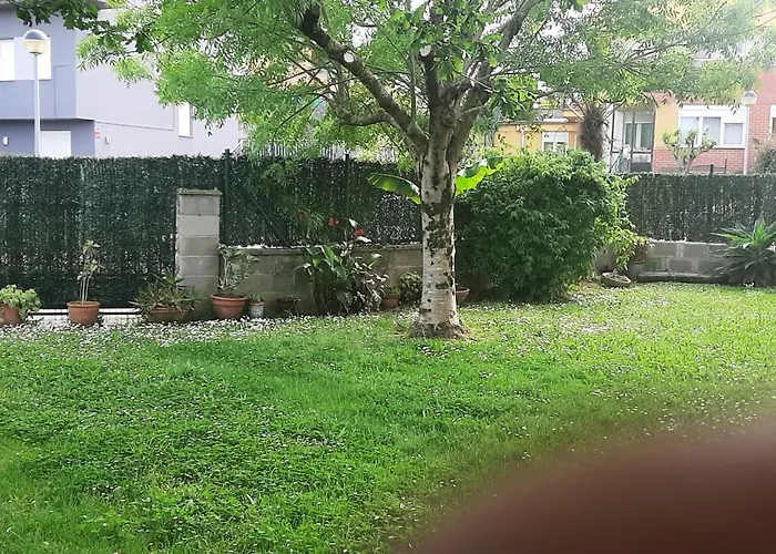 El Gallo Azul * Oruña